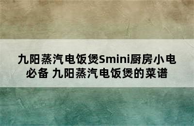 九阳蒸汽电饭煲Smini厨房小电必备 九阳蒸汽电饭煲的菜谱